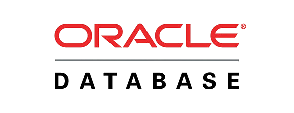 business intelligence consulting integration oracle database