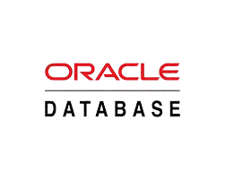 oracle database logo